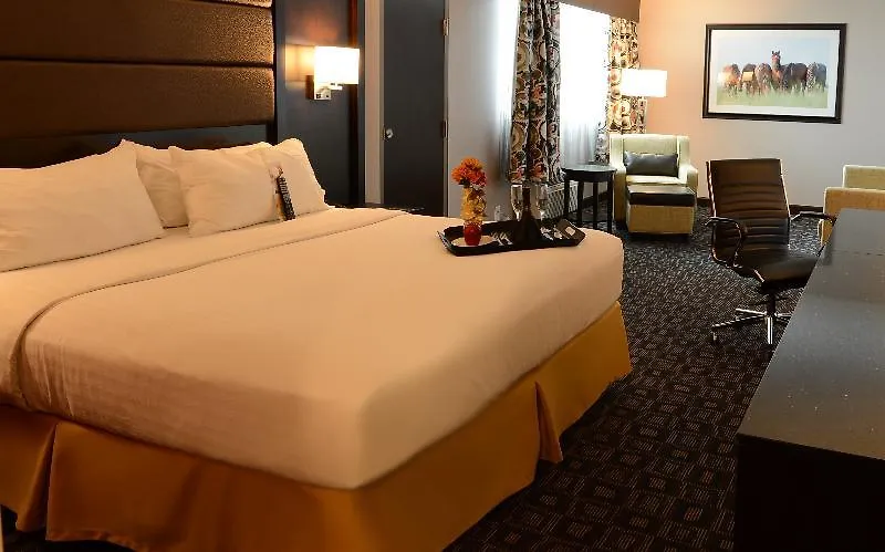 Holiday Inn Louisville East - Hurstbourne By Ihg 3*,